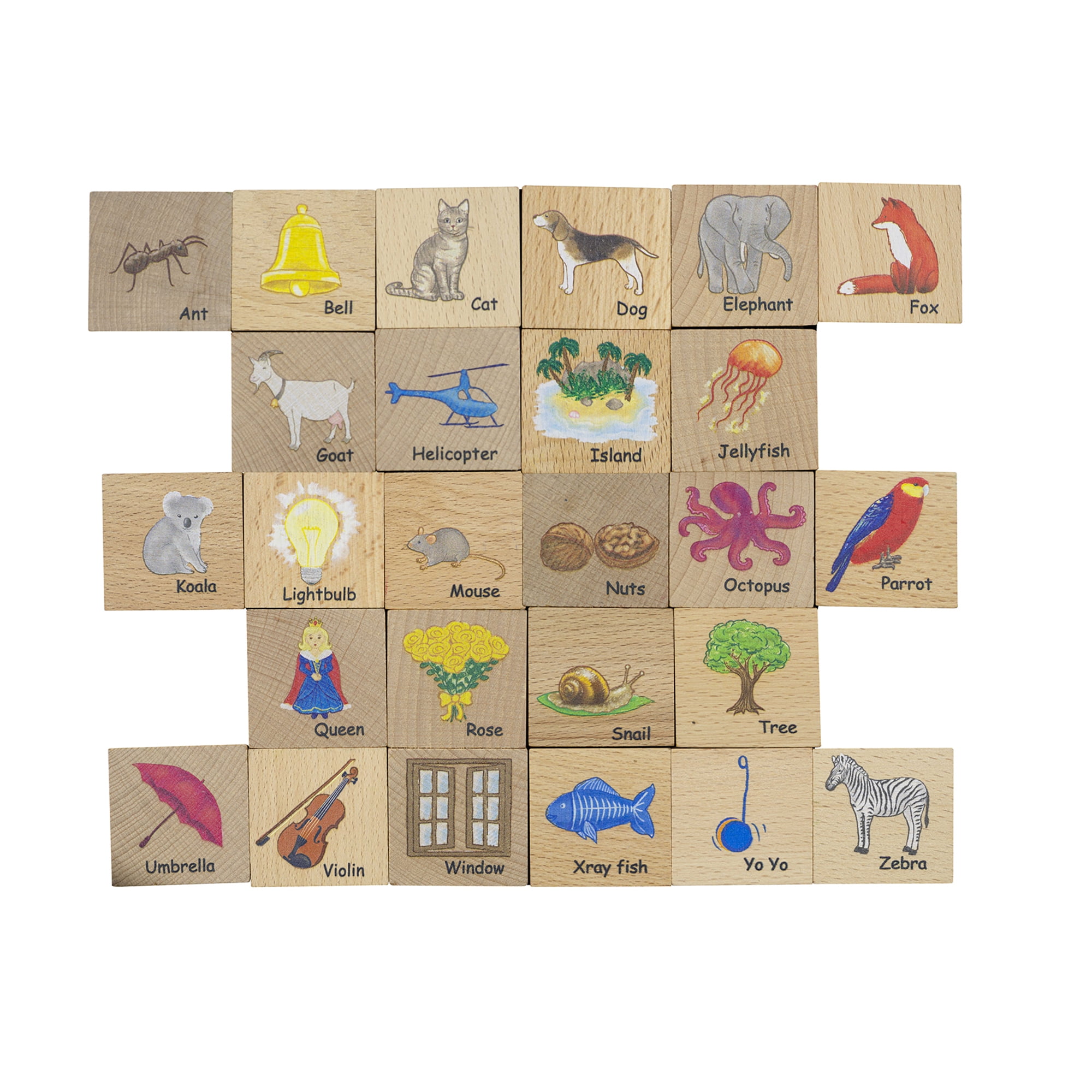 The Freckled Frog ABC Blocks
