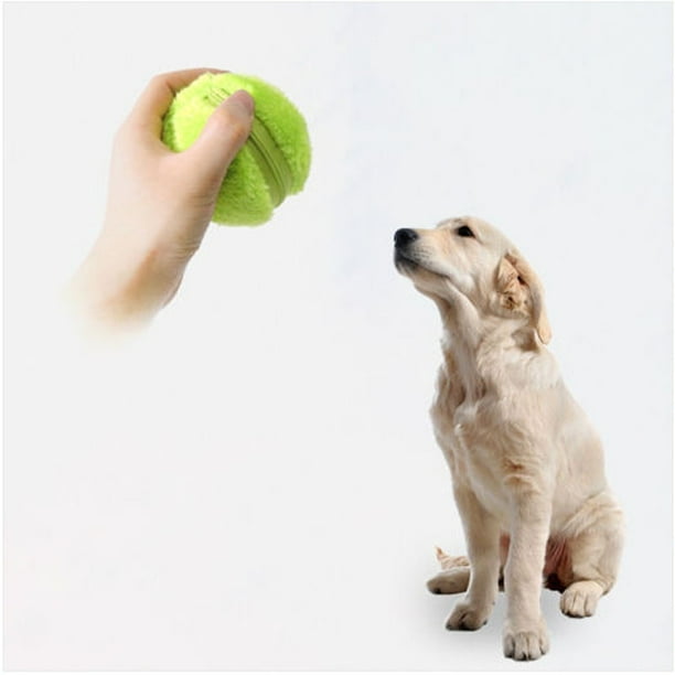 Magic Roller Ball Toy Automatic Roller Ball magic ball Dog Cat