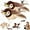 2Pcs, variant on The Mellow Dog Calming Sparrow, Calming Sparrow Toy with Chirping Sound, Interactive Chirping Flapping Bird Toy with Removable Shell, Trigger Natural Hunting Instinct (1Pcs)