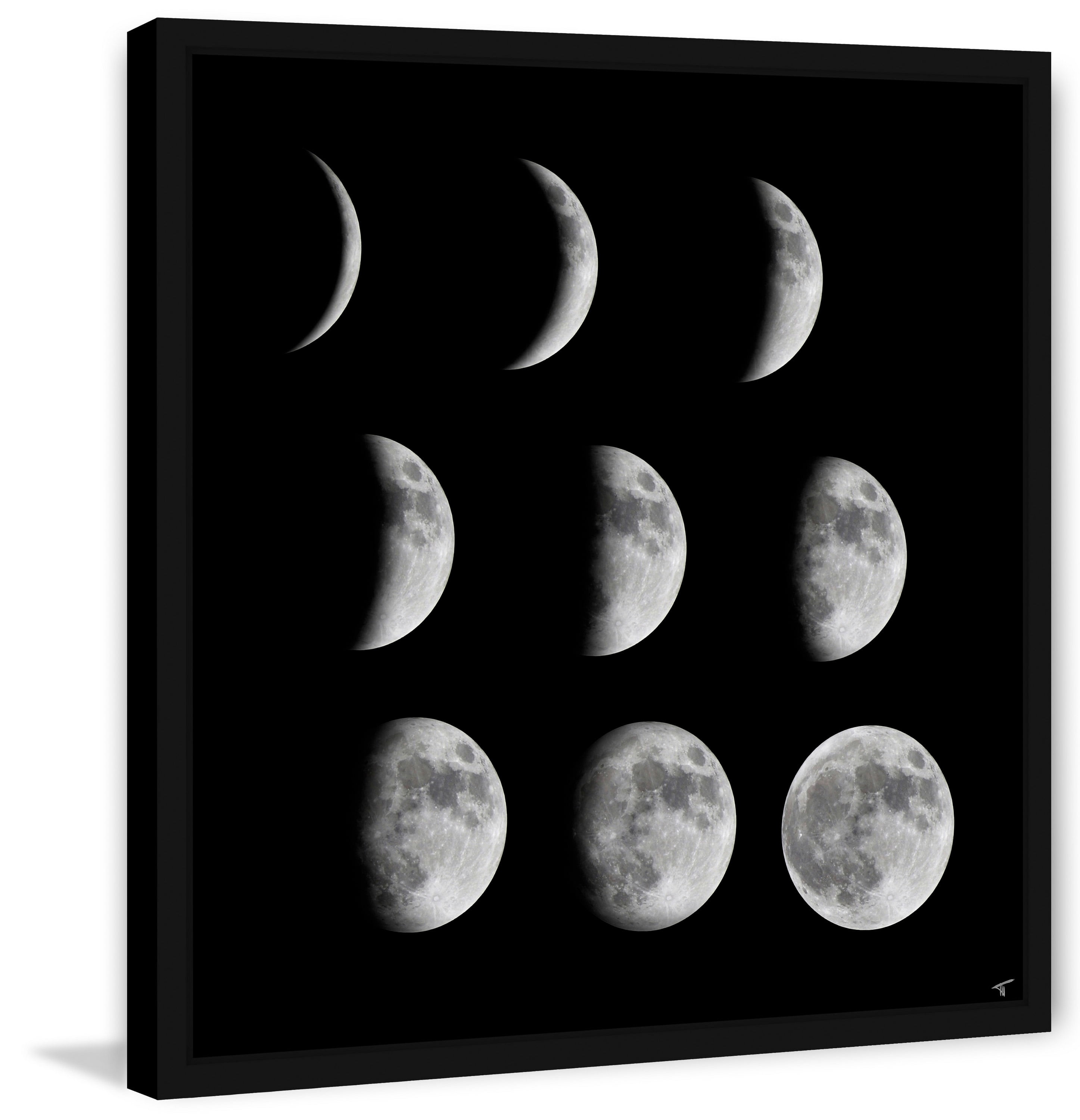 Marmont Hill Phases of the Moon III Framed Wall Art, 18" x 18"