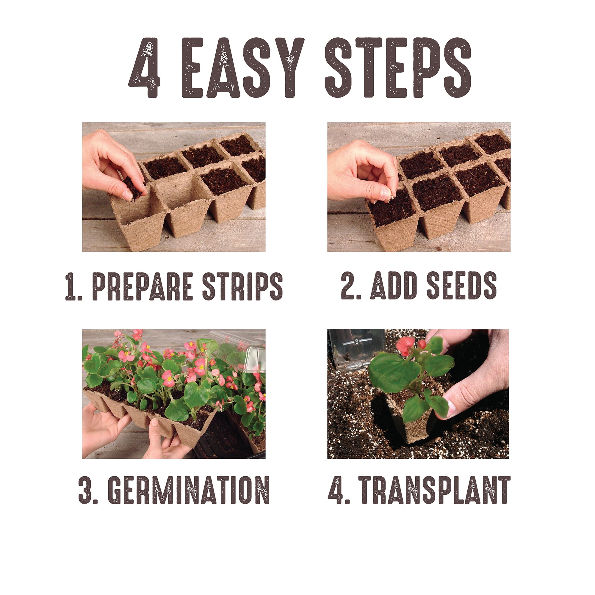 Jiffy 50 Cell Seed Starting Strips Greenhouse Kit, Reusable Tray And Humidity Dome
