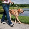thumbnail image 3 of Pet Walking Dog Explosion-proof Punching Control Dog Collar Training Habit Anti-barking Mouth Biting Cover Mask Mouth Cage, 3 of 3