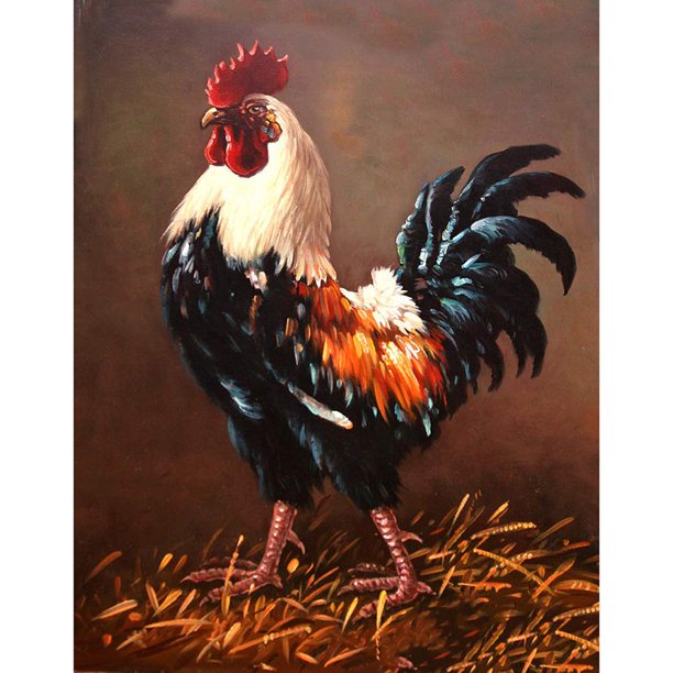 5D bricolaje completo taladro diamante pintura gallo Cruz puntada mosaico artesanía Kit Decoración Hugtrwg Para estrenar