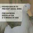 thumbnail image 4 of New Country Organics I Organic Duck Grower Feed I 19% Protein I Certified Organic and Soy-Free Duck Food for Healthy Growth | Ideal for Wild & Pet Ducks | Prevents Angel Wing I 40 lbs, 4 of 6