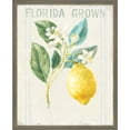 thumbnail image 2 of Great Art Now Floursack Lemon v2 by Danhui Nai, 2 Piece Framed Art Set Each 17"W x 21"H, 2 of 3