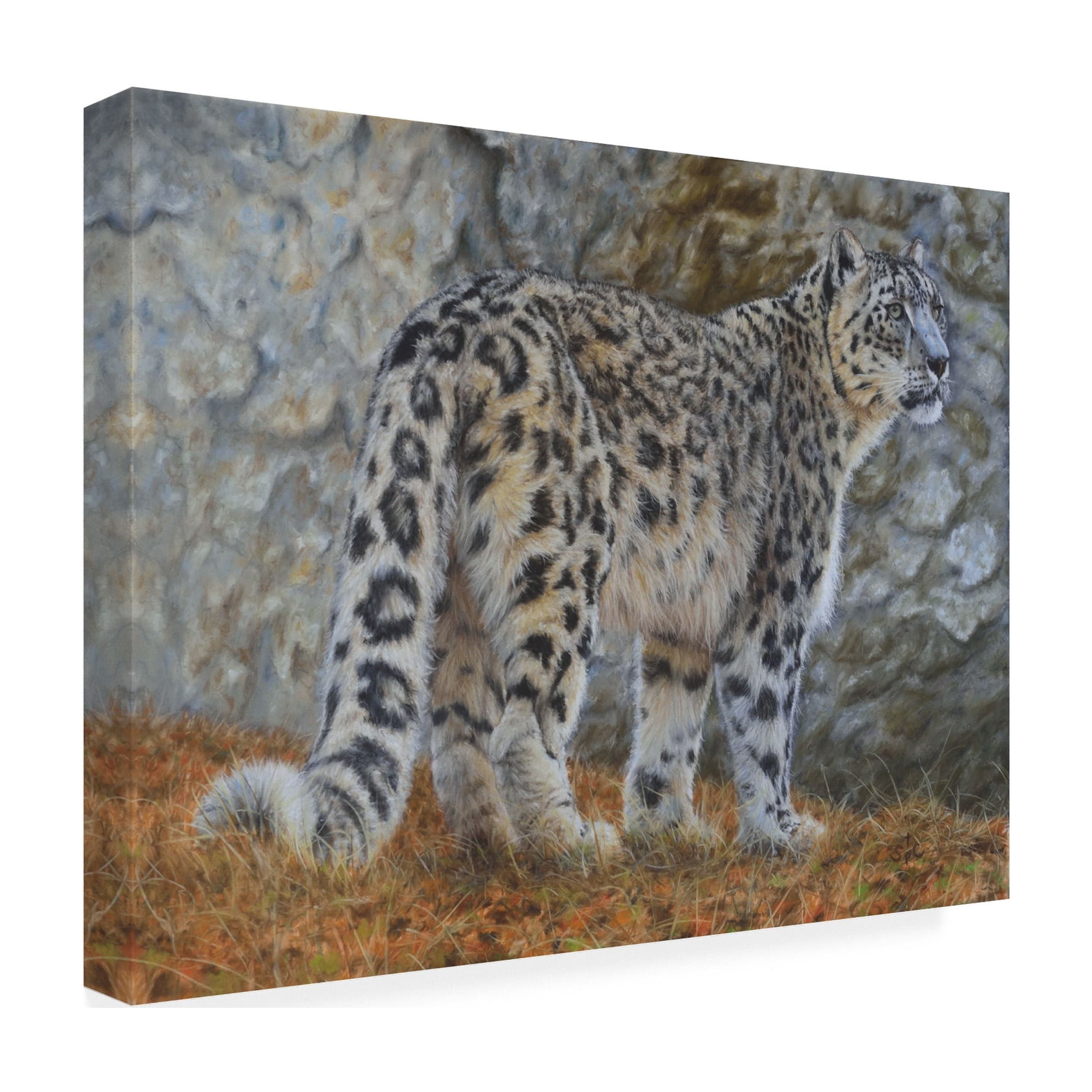 Steve Crockett 'Snow Leopard' Canvas Art