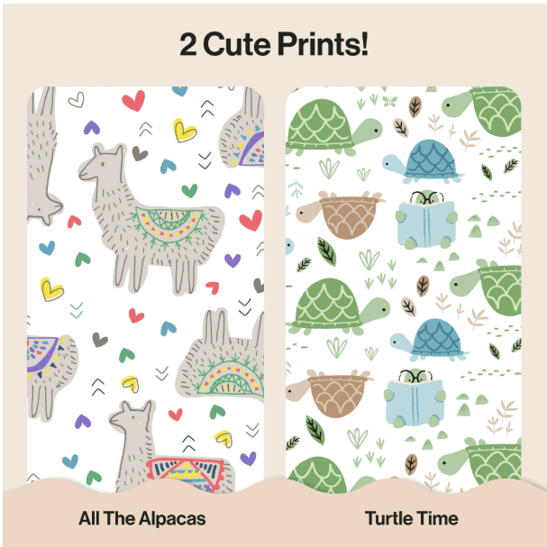 Turtle Time + All The Alpacas