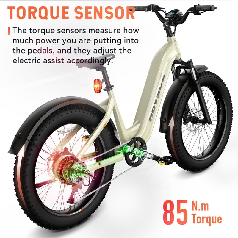 HOVSCO HovAlpha 26" Fat Tire Electric Bike, 750W Electric Mountain Bike for Adults, 48V/20AH Samsung/LG Battery, APP Control, UL2849, Champagne