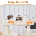thumbnail image 3 of Árbol para Gatos Heybly HCT034M de 180 cm de Altura con 2 Perchas y 2 Condominios, 3 of 9