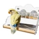thumbnail image 3 of Comederos para Periquitos Platos para Pájaros A Prueba Salpicaduras Dispensador Comida Giratorio para Comida para Periquitos Comedero para Pájaros para Jaula Pájaros, 3 of 5