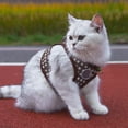thumbnail image 6 of Nkmbld Cat Harness and Leash Set for Walking, Escape Proof Soft Breathable Mesh Vest, Safe Adjustable Kitten Vest Harnesses for Small Medium Dogs, Cats, 6 of 8