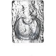 thumbnail image 1 of Mini Vase, Romantic Heart-shaped Vase - Ideal for Valentine's Day and Wedding, 1 of 8