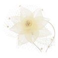 thumbnail image 1 of Wedding Fascinator Headpiece Mesh Fascinator Headband Tea Party Headband Women Fascinator, 1 of 8