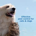 thumbnail image 6 of Adams Flea & Tick Spray for Dogs & Cats 16 oz Fleas Eggs Larvae Ticks 2-Pack, 6 of 8
