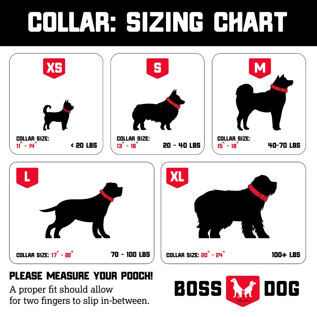 Boss Dog ProSeries Heavy Duty Dog Collar, Neoprene Lined, Green Camo, X-Large