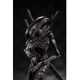 thumbnail image 3 of Hiya Toys - Alien Covenant Xenomorph PX 1/18 Scale Figure, Hiya Toys, Gifts, 3 of 4