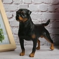 thumbnail image 1 of VGEBY Rottweiler Model Toy, Child Educational Toy Rottweiler Model, Rottweiler Decoration For Desktop Child, 1 of 8