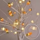 thumbnail image 5 of Luzes LED Ostra 20 Luces 6.8Piezas Cargador USB decorativa luces de Navidad luces de exterior luces de jardín luces de fiestas luzes portátiles para dormitorio, 5 of 9
