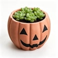 thumbnail image 4 of Aonerit Pumpkin Shaped Resin Flower Pot,Vintage Halloween Pumpkin Planter Pots,Halloween Fall Spooky Decor,For Halloween And Thanksgiving, 4 of 8