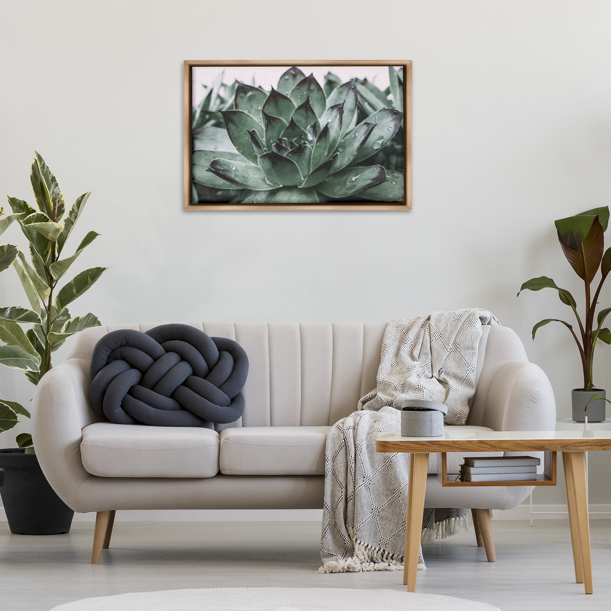 Stupell Industries Succulent with Rain Droplets Plants & Flowers Painting Brown Floater Framed Canvas Art Print Wall Art, 31 x 21