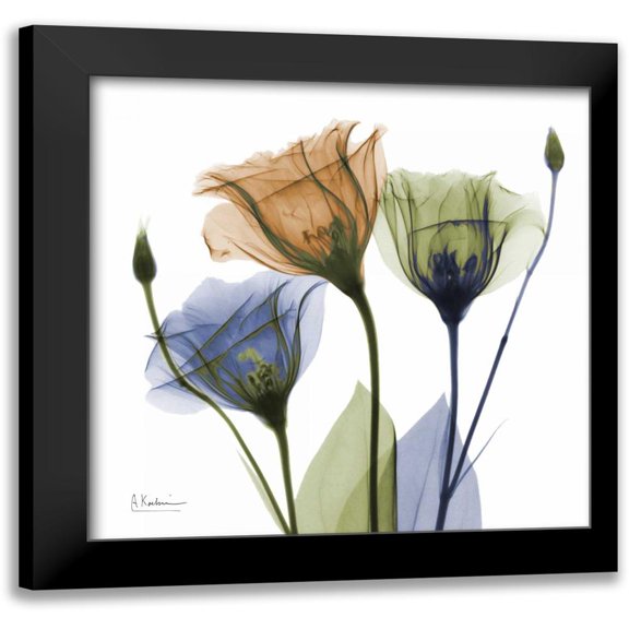 Koetsier, Albert 12x12 Black Modern Framed Museum Art Print Titled - Gentian Buddies