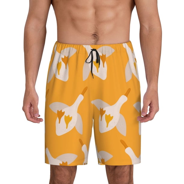 Fotbe Flying Ducks Pantalones Cortos de Pijama para Hombre, Ropa de Dormir, Pantalones de Pijama Cortos para Hombre-XX-Large