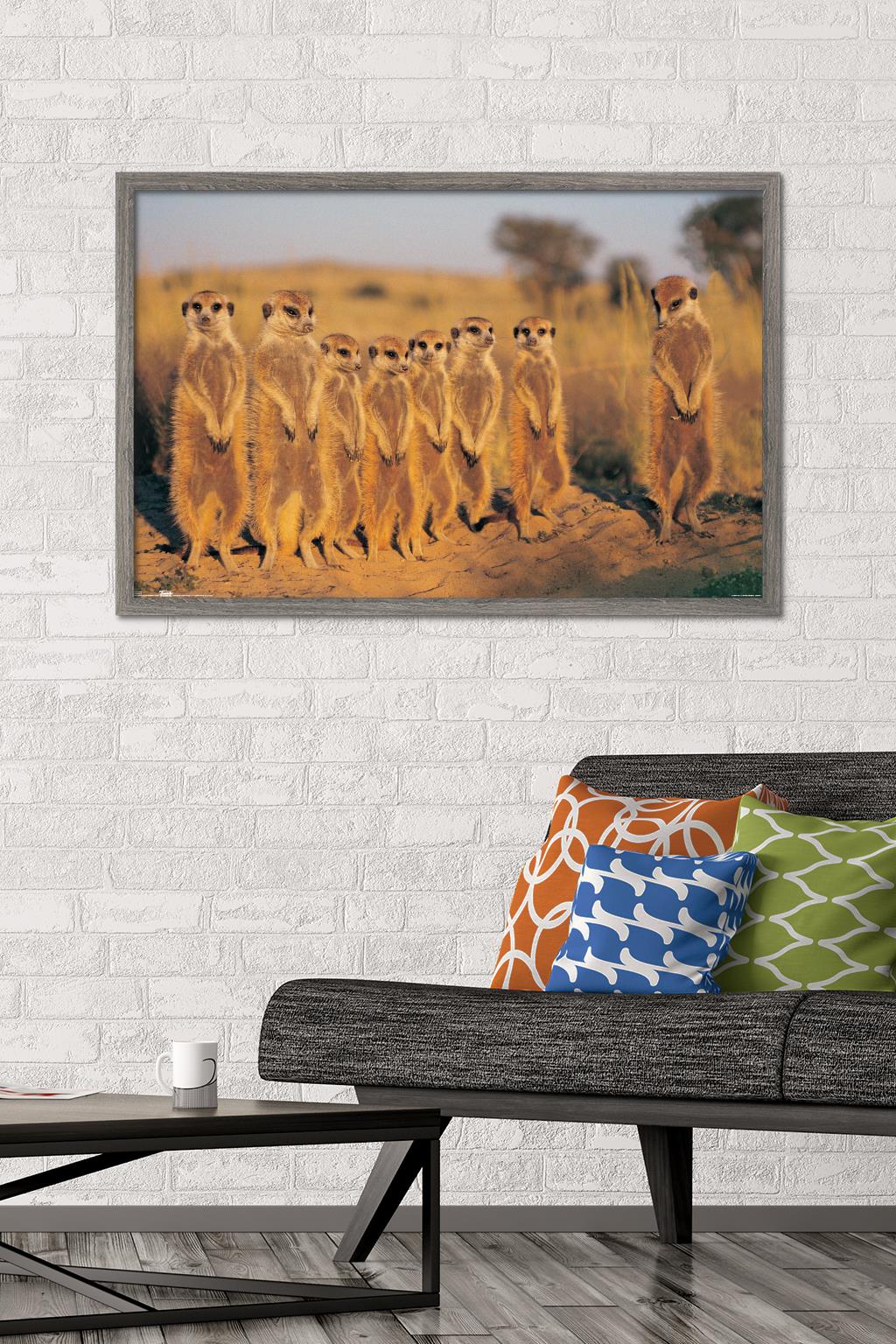 Meerkat Wall Poster, 22.375" x 34" Framed