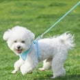 thumbnail image 4 of No Pull Dog Harness and Leash Set, Step in Adjustable Dog Harness with Padded Vest for All Weather, Dog Leash with Soft Padded Handle, Easy to Put on Small and Medium Dogs, 4 of 8