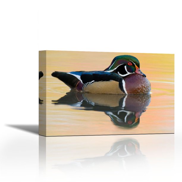 wood duck in plumage lapeer state game area walmart in lapeer