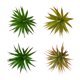 thumbnail image 3 of Bewildely La espada de plástico realista verde deja la castaña de agua simulada suculenta para la decoración inspirada en la naturaleza Decoración Hoja de espada grande Otoño, 3 of 6