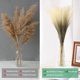 thumbnail image 4 of Uxcell 20 Paquete de Pasto de Pampas Falso 21.7" para Decoración del Hogar Boda Verde Hierba, 4 of 6