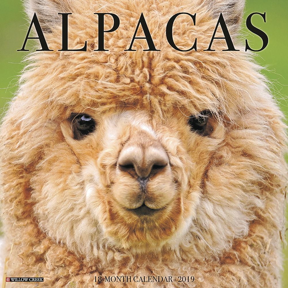 Alpacas Wall Calendar, Wildlife by Calendars