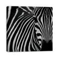 OWNSERIES Bueatiful Zebra Pattern Canvas Wall Art Paintings for Living