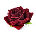 thumbnail image 2 of Jiaroswwei 1Pc Hair Clip Reusable Rose Flower Shape Metal Rose Flower Hair Clips for Dating, 2 of 8