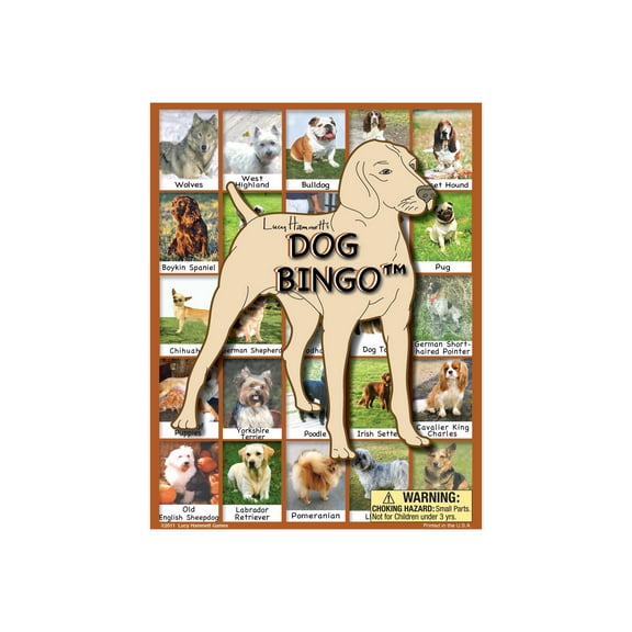 Lucy Hammett Dog Bingo