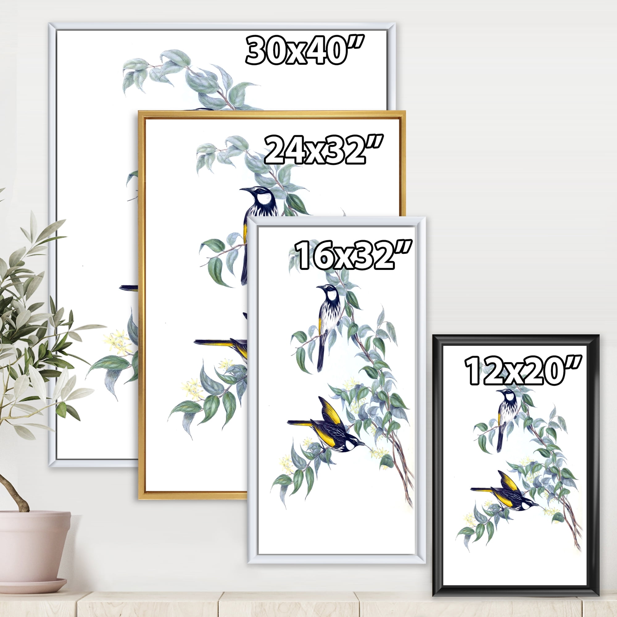 Designart 'Ancient Australian Birds On A Branch' Traditional Framed Canvas Wall Art Print