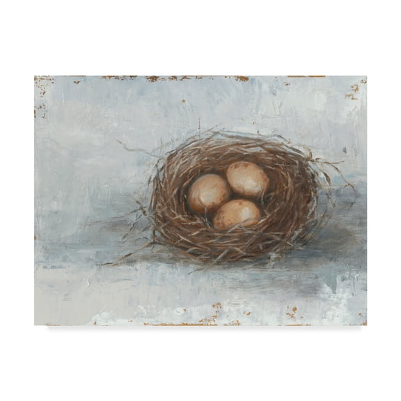 Ethan Harper 'Rustic Bird Nest Ii' Canvas Art