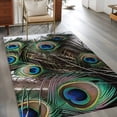 thumbnail image 2 of Peacock Feather Area Rugs 2.7'x5', Washable Small Throw Rugs for Kitchen Bedroom, Teal Blue Bird Feather Modern Art Printed Indoor Outdoor Rug Non-Slip Low Pile Carpet Runner Reversible Floor Mats, 2 of 8