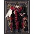 thumbnail image 1 of Harry Potter: Wizard Dynasty Chair Print, 1 of 1