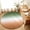 Green, variant on Small Round Rug 3Ft, Red Teal Ombre Non-Slip Washable Circle Rugs Carpet, Contemporary Abstract Gradient Indoor Outdoor Rug Floor Mats Throw Runner for Bedroom Living Room Bathroom