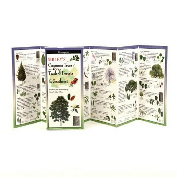 FoldingGuides: Sibley's Trees of Trails and Forests of the Southeast (Other)