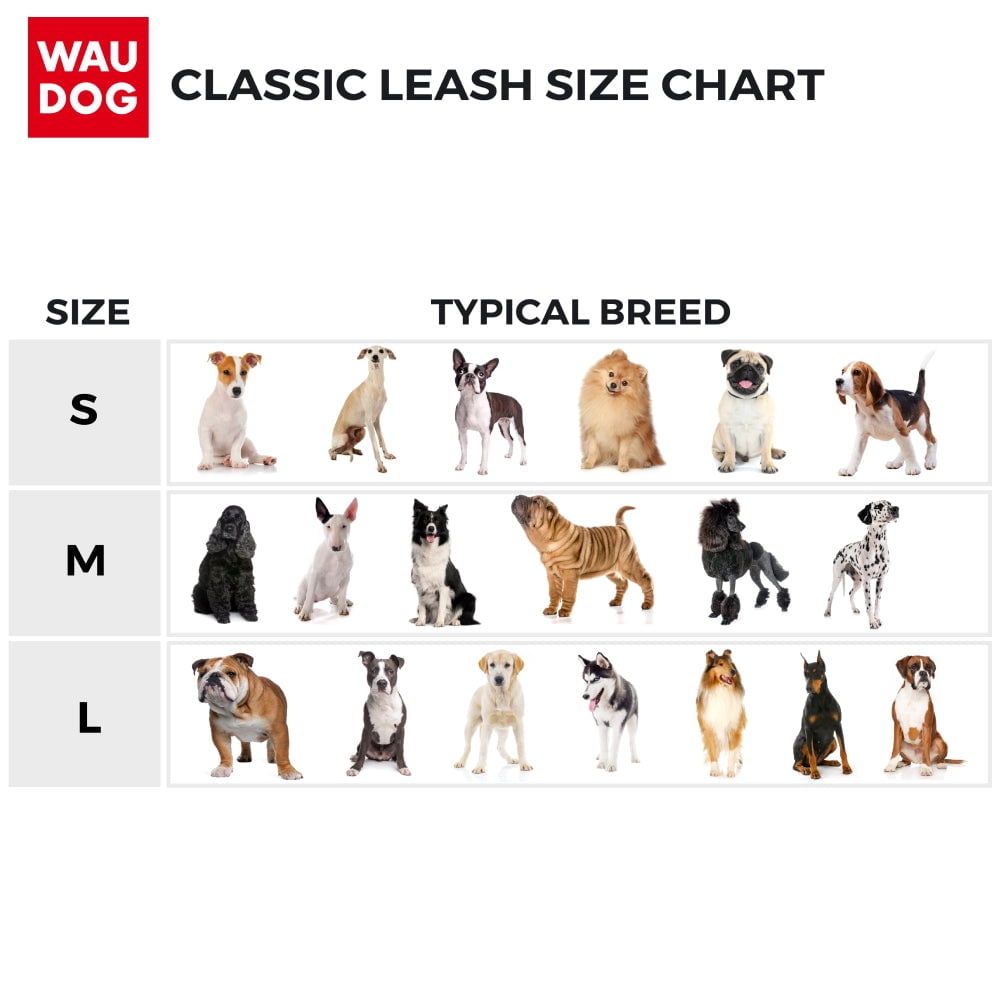 WAUDOG Classic Design Leather Dog Leash for Puppy Small Medium and Large Dogs - Boy & Girl Leather Dog Collar | Special Design Leather Leash for Training & Walking Cute Small Medium Large Dog - Purple
