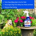 Nature's MACE Dog MACE Dog Repellent and Training Tool 1 Gallon