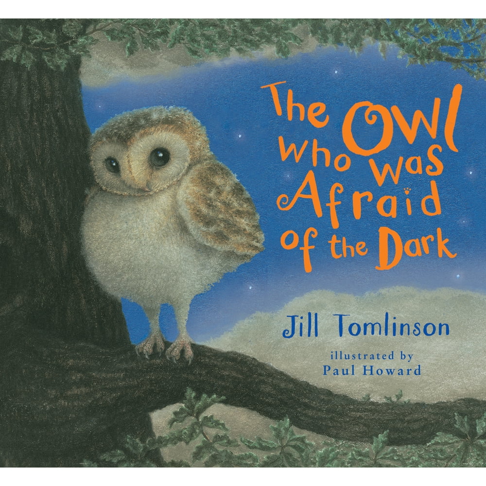 The Owl Who Was Afraid of the Dark (Board Book) - Walmart.com - Walmart.com