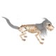 thumbnail image 3 of Decoración de esqueleto de perro para Halloween, 15 x 3,1 x 9,8 pulgadas, herramienta de aprendizaje para casas fantasma, esqueleto ligero de huesos d, 3 of 9