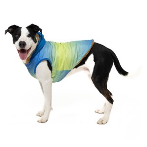Dog Hooded Jacket with Sherpa Lining