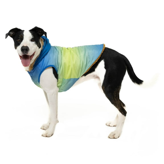 Vibrant Life Dog Hooded Jacket, Blue Ombre, M