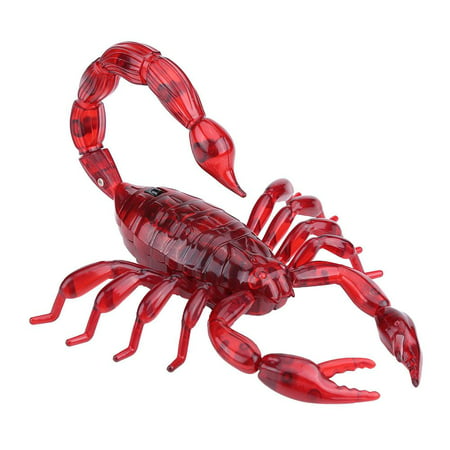 Cergrey Infrared Remote Control Scorpion Model Toy RC Animal Christmas  Present Gift for Kids, RC Animal, RC Scorpion | Walmart Canada