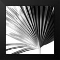 thumbnail image 2 of Johnson, Jason 15x15 Black Modern Framed Museum Art Print Titled - Black and White Palm IV, 2 of 5