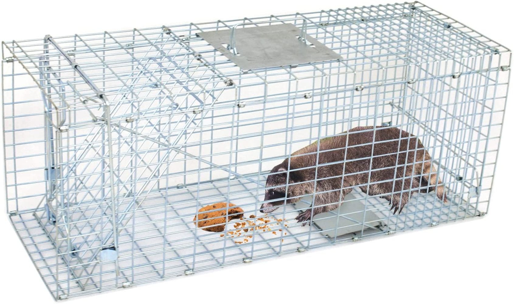 Stray Cat Groundhog Mole Gopher Squirrel HomGarden Live Animal Trap 24inch Catch Release Humane Rodent Cage for Rabbits Skunk & Chipmunks 24 Silver Raccoon Chicken Opossum 